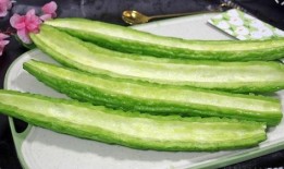 黄瓜c 吃瓜,揭秘吃瓜背后的营养与健康秘密